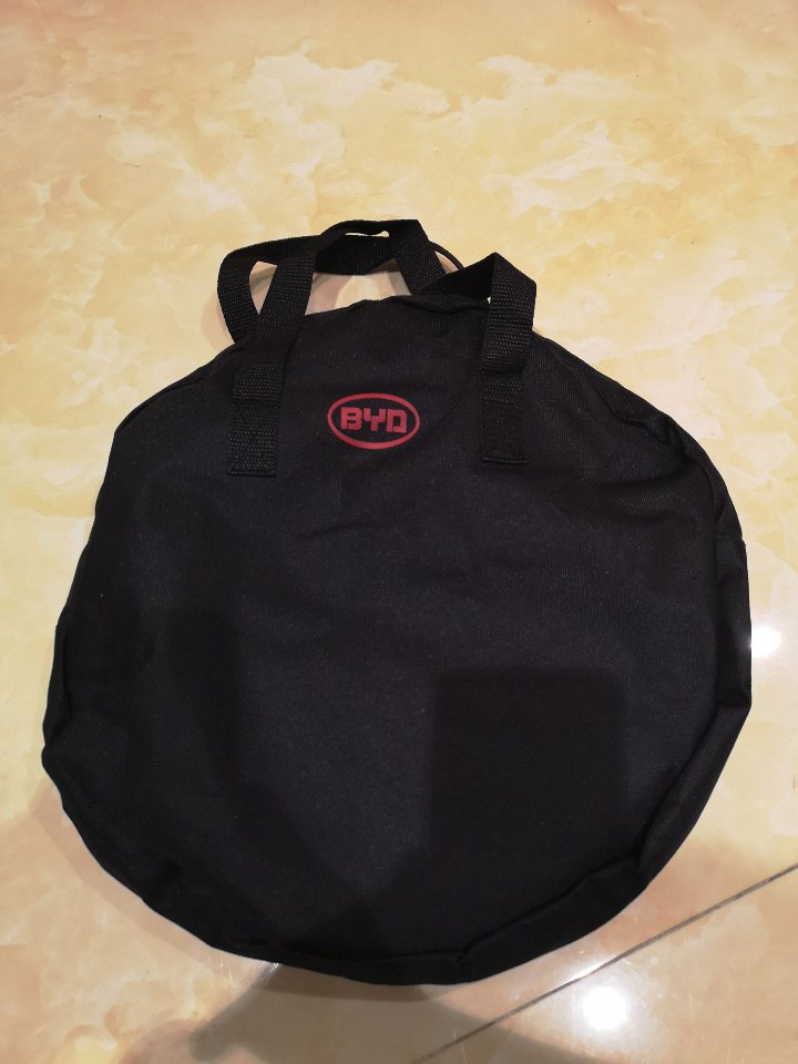 BYD on-board electric car charger